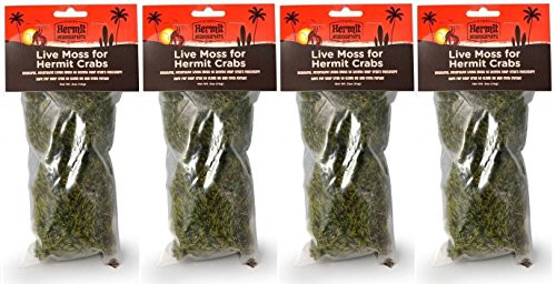 Flukers -4 Pack- Live Moss for Hermit Crabs 0.5-Ounce Each