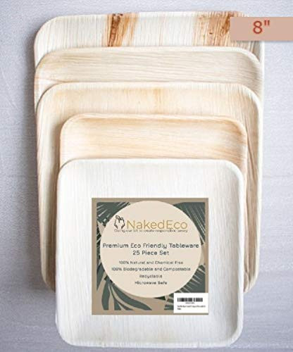 NakedEco-Export Quality Plates- Pack of 25- 810 inch Disposable Palm Leaf Plates Areca Palm Leaf Plate for Party and Function -8inch-