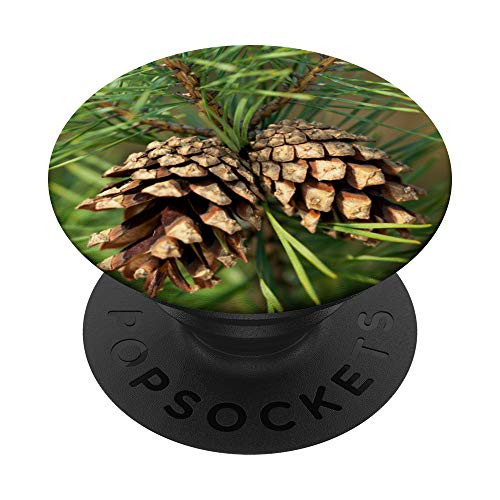 Pine Tree Brown Pine Cone Forest Nature Gift PopSockets Grip and Stand for Phones and Tablets