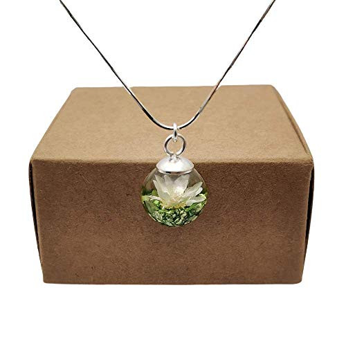 Daisy Real Flower Green Treasure Island Mineral Pendant 925 Sterling Silver Snake Chain Necklace Daisy Real Flower Green Treasure Island Mineral Pendant 925 Sterling Silver Snake Chain Necklace