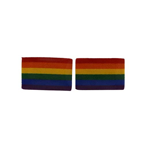 Small Rainbow Flag Stud Earrings Metal Free Plastic Post