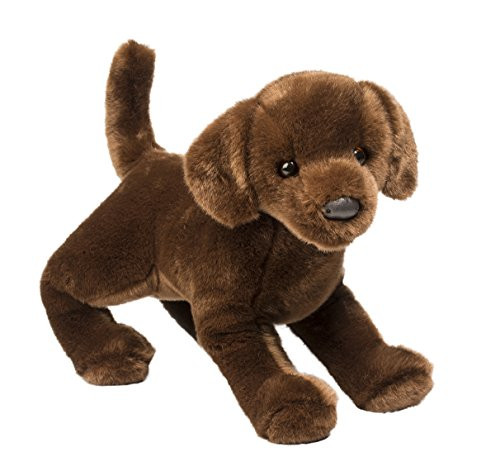 Douglas Cocoa Chocolate Lab