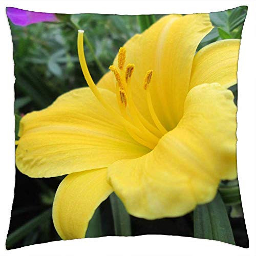 LESGAULEST Throw Pillow Cover -18x18 inch- - Lily Lilies Yellow Pistils Leaf Flower Plant LESGAULEST Throw Pillow Cover -18x18 inch- - Lily Lilies Yellow Pistils Leaf Flower Plant