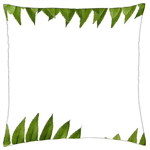 LESGAULEST Throw Pillow Cover -16x16 inch- - Leaf Green Polypody Frame Picture Frame Ornament LESGAULEST Throw Pillow Cover -16x16 inch- - Leaf Green Polypody Frame Picture Frame Ornament