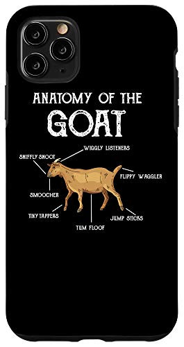 iPhone 11 Pro Max Anatomy Of The Goat Animal Caprine Clothes Farmer Gift Goat Case