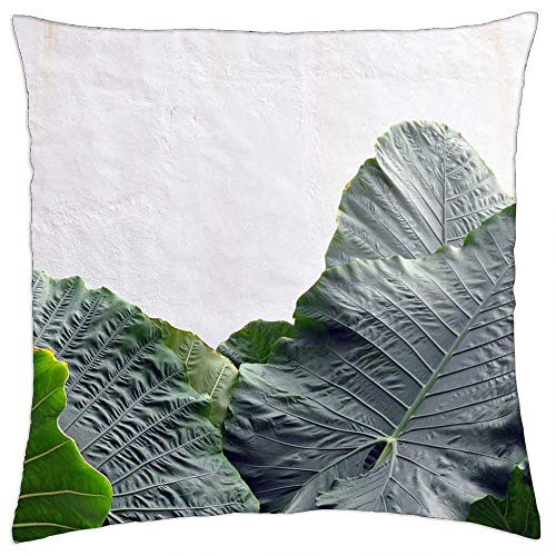 LESGAULEST Throw Pillow Cover -18x18 inch- - Anthurium Leaf Green Foliage Plant