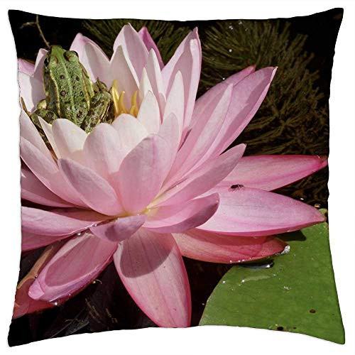 LESGAULEST Throw Pillow Cover -18x18 inch- - Water Lily Frog Pond Water Green Water Frog LESGAULEST Throw Pillow Cover -18x18 inch- - Water Lily Frog Pond Water Green Water Frog