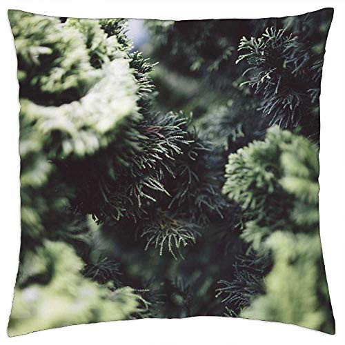 LESGAULEST Throw Pillow Cover -16x16 inch- - Thuya Shrub Tree Bush Green Evergreen Foliage