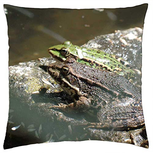 LESGAULEST Throw Pillow Cover -18x18 inch- - Frog Water Pond Green Animal Green Frog Frog Pond LESGAULEST Throw Pillow Cover -18x18 inch- - Frog Water Pond Green Animal Green Frog Frog Pond