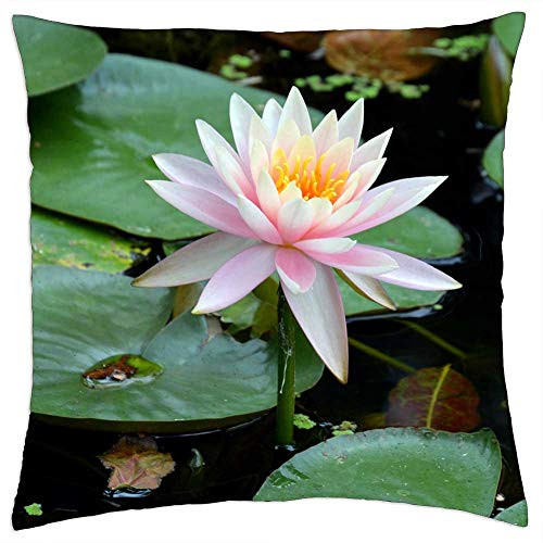 LESGAULEST Throw Pillow Cover -18x18 inch- - Waterlily Flower Green Nature Lotus Lily Aquatic LESGAULEST Throw Pillow Cover -18x18 inch- - Waterlily Flower Green Nature Lotus Lily Aquatic