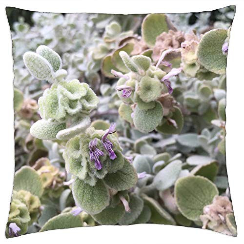 LESGAULEST Throw Pillow Cover -16x16 inch- - Plant Green Plant Garden Green Nature Leaf Botany 2