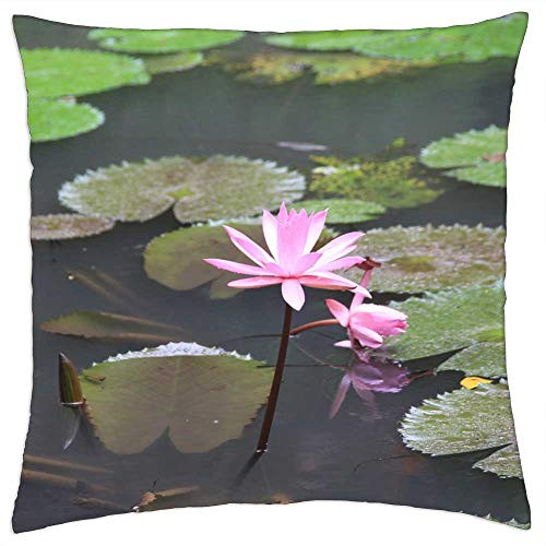 LESGAULEST Throw Pillow Cover -18x18 inch- - Pond Lotus Water Lily Lake Flowers Greens LESGAULEST Throw Pillow Cover -18x18 inch- - Pond Lotus Water Lily Lake Flowers Greens