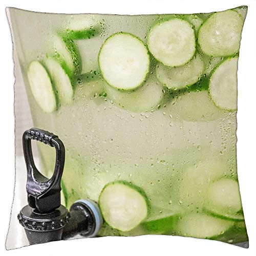 LESGAULEST Throw Pillow Cover -16x16 inch- - Water Cucumber Green Healthy Drink Glass Fresh LESGAULEST Throw Pillow Cover -16x16 inch- - Water Cucumber Green Healthy Drink Glass Fresh