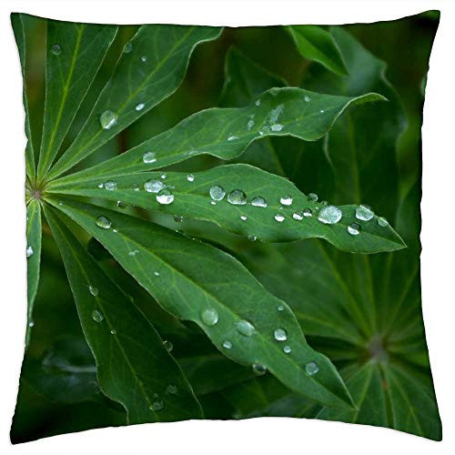 LESGAULEST Throw Pillow Cover -18x18 inch- - Leaf Green Nature Foliage Plant Garden Plants LESGAULEST Throw Pillow Cover -18x18 inch- - Leaf Green Nature Foliage Plant Garden Plants