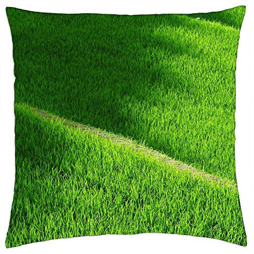 LESGAULEST Throw Pillow Cover -18x18 inch- - Rice Terraces Yamada Rice Fields Japan Rice Green LESGAULEST Throw Pillow Cover -18x18 inch- - Rice Terraces Yamada Rice Fields Japan Rice Green