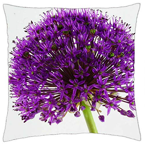LESGAULEST Throw Pillow Cover -16x16 inch- - Ornamental Onion Flower Green Flowers Plant Violet