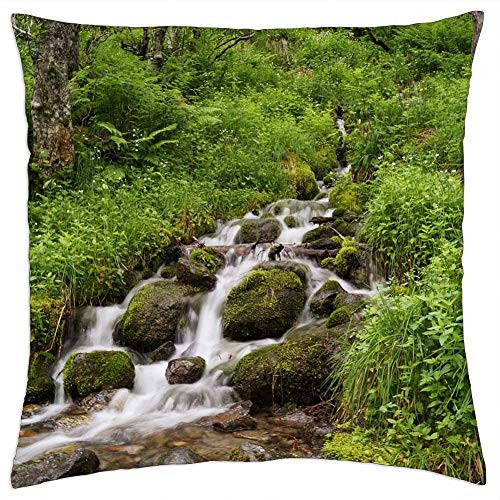 LESGAULEST Throw Pillow Cover -18x18 inch- - Stream Water Rocks Moss Plants Trees Green