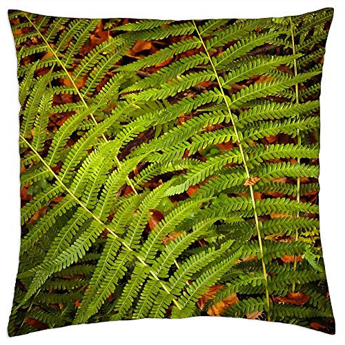 LESGAULEST Throw Pillow Cover -16x16 inch- - Fern Plant Green Nature Leaves Forest Fern Plant