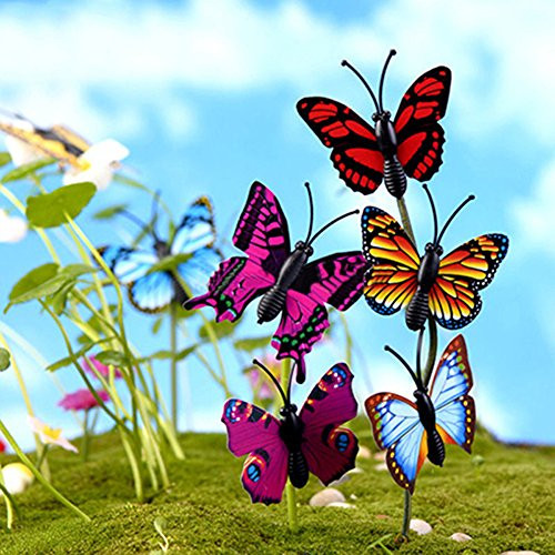 ekqw015l Miniature Ornaments Plant Pots Bonsai Garden Accessories and 4 Pcs 3D Butterfly Miniature Fairy Garden Ornament Plant Pot DIY Craft Decor ekqw015l Miniature Ornaments Plant Pots Bonsai Garden Accessories and 4 Pcs 3D Butterfly Miniature Fairy Garden Ornament Plant Pot DIY Craft Decor