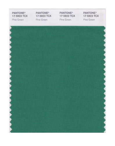 PANTONE Smart 17-5923X Color Swatch Card Pine Green