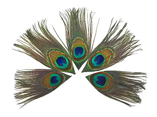 Peacock Feathers - Full Eye Trimmed Natural Green Peacock Tail Feathers