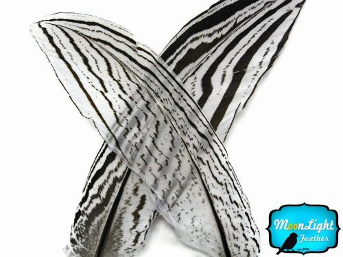 Pheasant Feathers Silver Pheasant Feathers - Natural Silver Tail Pheasant Feathers - 10 Pieces