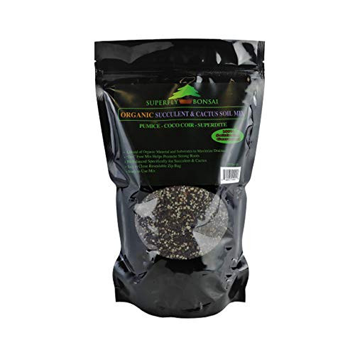 Organic Succulent  and  Cactus Soil Mix - Premium Pre-Mixed Fast Draining Blend -1.25 Dry Quart-