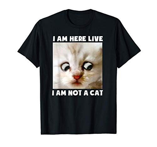 I Am Here Live I Am Not A Cat Funny Lawyer Cat Meme T-Shirt