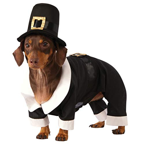 Rubies Pilgrim Boy Dog Costume X-Large
