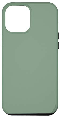 iPhone 12 Pro Max Sage Green Case