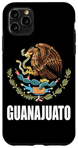 iPhone 11 Pro Max Guanajuato Mexico Mexican State Estado Case