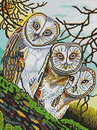 Cross-Stitching Stamped Kits for Adults Owl Patterns Cross Stitch Counted Kits with 14CT White Fabric -Counted Kits Embroidery Kit for Beginners Cross Stitch Kits Home Decor 14.17x18.11 Inch