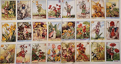 Alphabet Panel Flower Fairy ABC fabric Michael Miller - 24 Inch Panel
