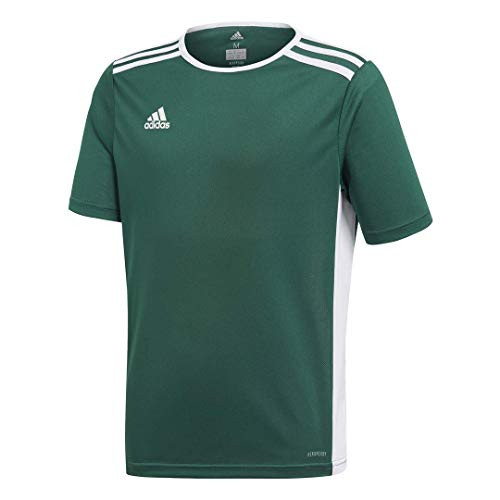 adidas Boys Entrada 18 Jersey Collegiate Green/White Medium