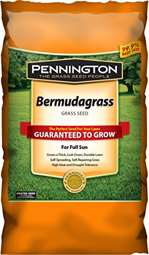 Pennington 100086585 Bermudagrass 1 lb Grass Seed Green