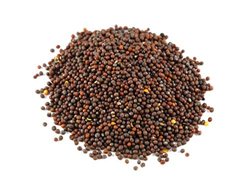 Savory Spice Brown Mustard Seeds -Medium Jar Savory Spice Brown Mustard Seeds -Medium Jar