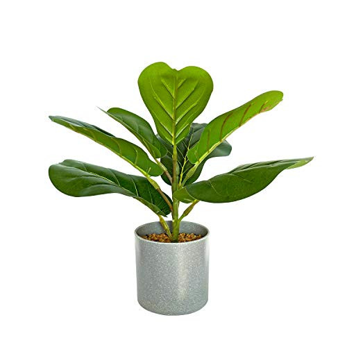 BESAMENATURE Artificial Fiddle Leaf Fig Tree/Faux Ficus Lyrata for Home Office Decoration 12 inch Tall Ships in Gray Planter