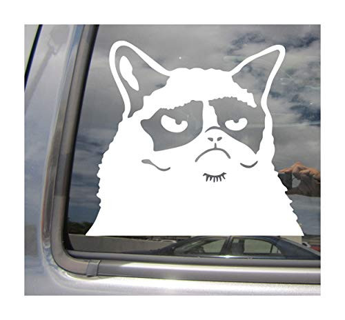 Right Now Decals Angry Grumpy Cat - Funny Humor Mad - Cars Trucks Moped Helmet Hard Hat Auto Automotive Craft Laptop Vinyl Decal Store Window Wall Sticker 01038 Right Now Decals Angry Grumpy Cat - Funny Humor Mad - Cars Trucks Moped Helmet Hard Hat Auto Automotive Craft Laptop Vinyl Decal Store Window Wall Sticker 01038