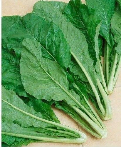 Tendergreen Mustard Green Komatsuna Seeds for Planting 1 G Non-GMO American Seeds Heirloom Brassica rapa VAR. perviridis