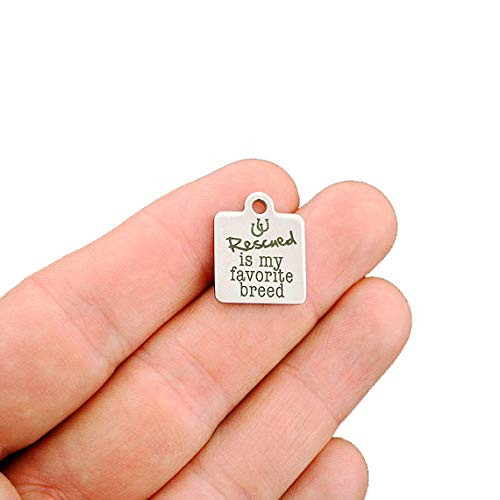 Horse Rescue Stainless Steel Charm - Rescued is My Favorite Breed - Exclusive Line - Quantity Options - BFS1222
