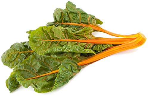 Sow No GMO Swiss Chard Fantasia Orange Leafy Greens with Lively Orange Stems Non GMO Heirloom Vegetable 50 Seeds