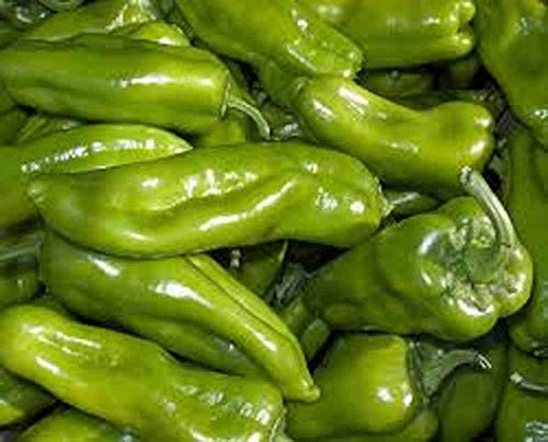 Pepper Cubanelle Sweet Pepper Seeds Non GMO 25 Seeds per Pack Some Prefer The Cubanelle Pepper to Traditional Bell Peppers Because of Their Sweet and mild Flavor.