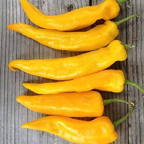 Davids Garden Seeds Pepper Specialty Sweet Marconi Golden 9833 -Yellow- 25 Non-GMO Heirloom Seeds Davids Garden Seeds Pepper Specialty Sweet Marconi Golden 9833 -Yellow- 25 Non-GMO Heirloom Seeds