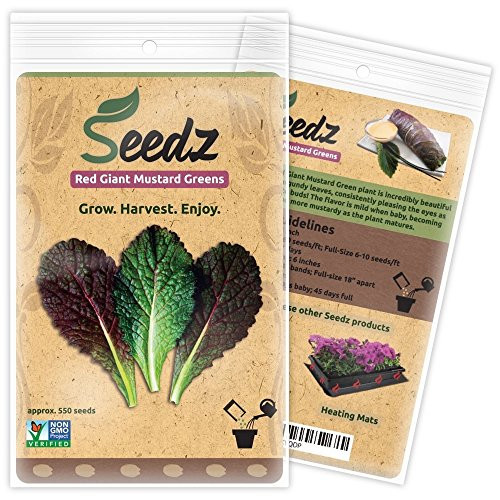 Organic Mustard Seeds -APPR. 550- Red Giant Mustard Greens - Heirloom Vegetable Seeds - Certified Organic Non-GMO Non Hybrid - USA