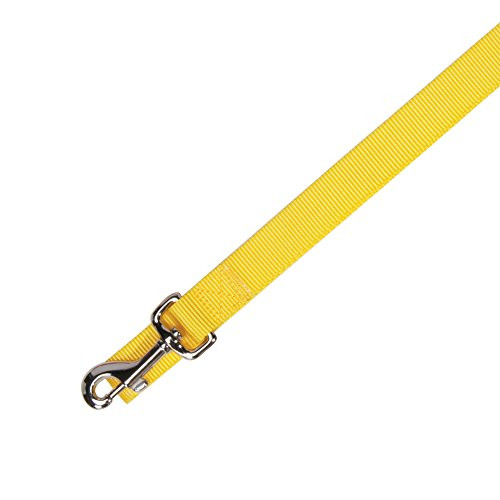 Zack  and  Zoey Basic Nylon Dog Leash 4-Feet x 5/8-Inch Lead Yellow