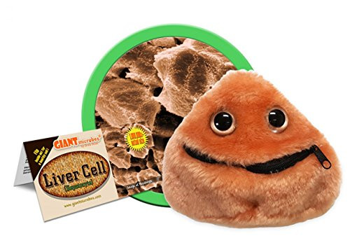 Giant Microbes Liver Cell (Hepatocyte) Plush
