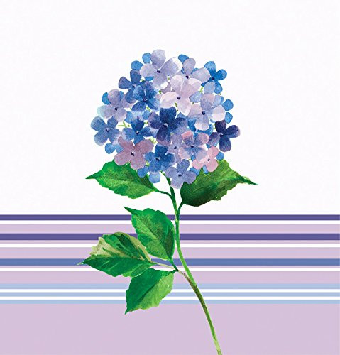 Creative Converting Border Print Plastic Table Cover 54 by 108 inch Hydrangea Stripe Purple