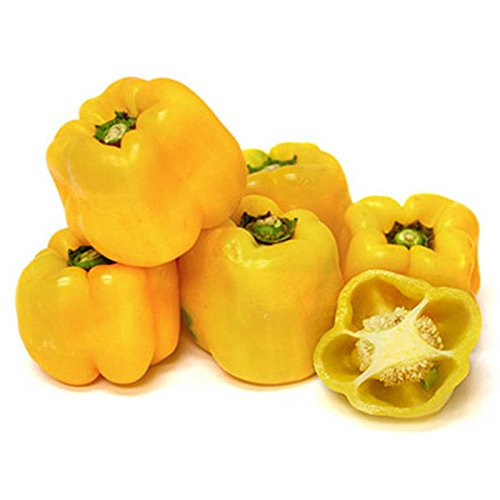 Sunbright Yellow Bell Pepper - 250 mg ~30 Seeds - Heirloom Open Pollinated Non-GMO Farm  and  Vegetable Gardening Seeds - Sweet Pepper