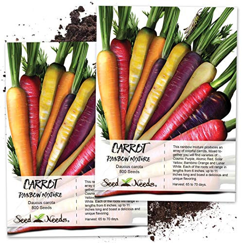 Seed Needs Rainbow Carrot Blend -Daucus carota- Twin Pack of 800 Seeds Each Non-GMO Seed Needs Rainbow Carrot Blend -Daucus carota- Twin Pack of 800 Seeds Each Non-GMO