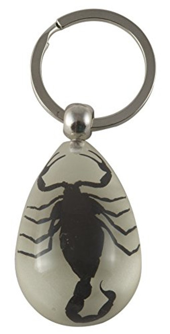 Black Scorpion Key Chain - Glow in the Dark Black Scorpion Key Chain - Glow in the Dark